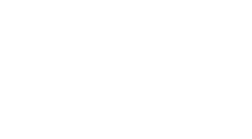 Junk Removal Chicago